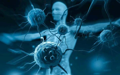 BS Nguyễn Trung Cấp: Virus SARS-CoV-2 rất quỷ quyệt - Chúng thường xuyên biến đổi, thay đổi lớp áo ngụy trang, gây ức chế miễn dịch!