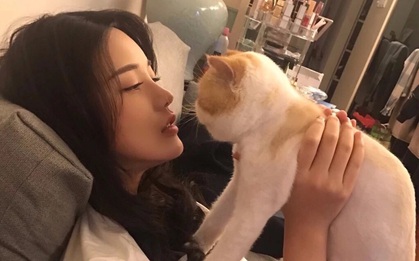 Phụ nữ sống thọ thường có 3 "nét chung", nếu có cả 3 thì xin chúc mừng bạn đang là người khỏe mạnh