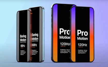 Cộng đồng iFan "đứng tim" khi biết màn hình iPhone 12 Pro sẽ chỉ ở mức "tàm tạm"