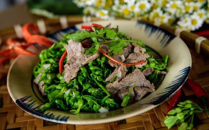 Loại thực phẩm vô cùng đặc biệt của mùa hè: Vừa là hoa, là rau lại là "thuốc an thần" giúp cả gia đình ngủ ngon, sâu giấc và khỏe mạnh hơn