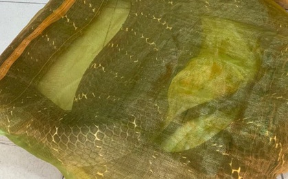 TP.HCM: Người đàn ông chở con rắn hổ mang chúa 20kg bon bon trên đường
