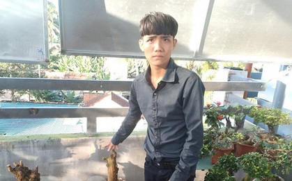 Truy tố nhóm đối tượng thực hiện 28 vụ trộm cây cảnh theo “đơn đặt hàng”