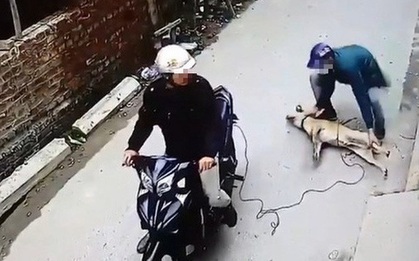 Trên đường đi ăn trộm chó bị phát hiện, đối tượng dùng súng điện tấn công công an xã