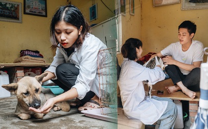Trạm cứu hộ chó, mèo của các bạn sinh viên ở Hà Nội: "Chúng mình luôn sẵn sàng khi có cuộc gọi khẩn cấp"