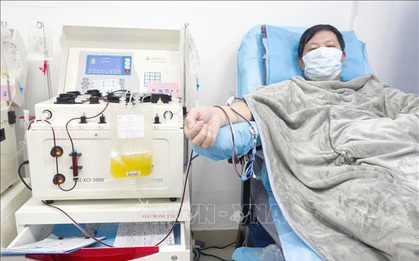 Huyết tương của người khỏi bệnh có tác dụng tích cực trong điều trị bệnh nhân nhiễm SARS-CoV-2