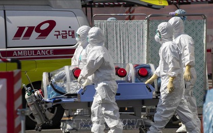Vatican, Serbia và Cameroon ghi nhận ca nhiễm virus SARS-CoV-2 đầu tiên