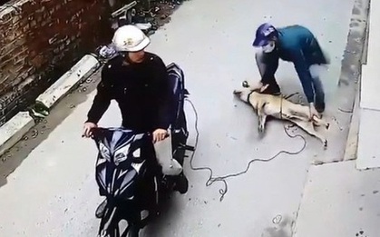 Triệu tập 2 tên trộm chó nghi giết người dân truy đuổi ở Ninh Bình
