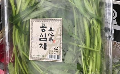 80k được vài cọng rau muống, cô gái trẻ đang sống ở Hàn rớt nước mắt vì ở nhà toàn… cắt cho lợn