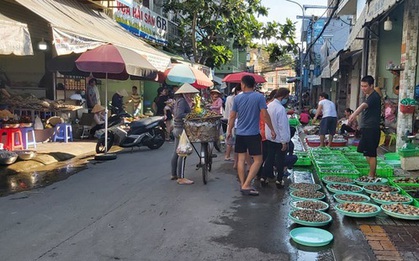 Băng nhóm uy hiếp các chủ vựa, ngăn không cho hải sản về Vũng Tàu