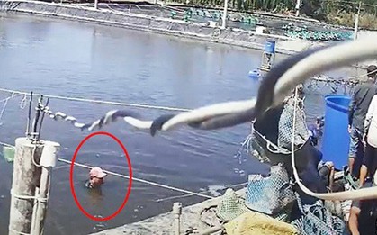 Bắt tạm giam 3 đối tượng dàn cảnh trộm tôm “siêu” tinh vi ở miền Tây