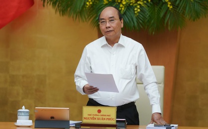 Chính phủ lập phương án điều tiết giá thịt lợn, không để loạn thị trường