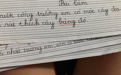 Chết cười với loạt văn tả cây của học sinh lớp 1, đến cô giáo cũng không ngờ trò lầy đến thế