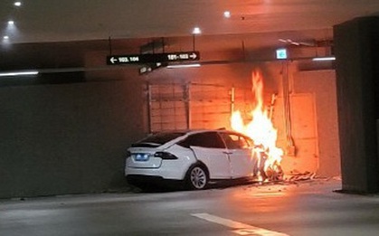 Xe Tesla gây tai nạn chết người ở Hàn Quốc, tài xế tố xe mất lái và tự tăng tốc