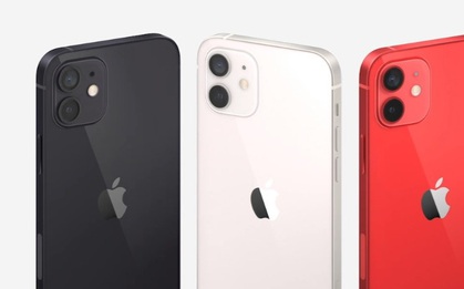 Nhìn từ xu hướng tìm kiếm Google, người Việt càng ngày càng thích iPhone?