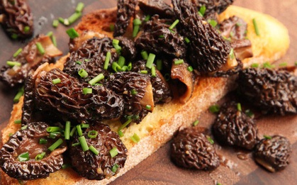Loài nấm lạ nhìn như tổ ong có giá lên tới 11 triệu VNĐ/kg khiến giới đầu bếp Pháp mê đắm: Hương vị tuyệt hảo, nhưng lợi ích sức khỏe mới đáng chú ý