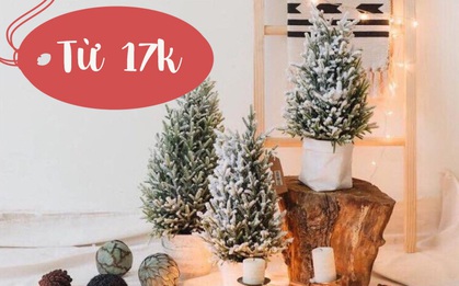 Đón Noel hệ "hạt dẻ": 8 cây thông giả mini giá chỉ từ 17k cho hội có hầu bao khiêm tốn