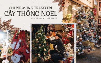 Mua cây thông Noel ở Hàng Mã: Cây đắt nhất 4 triệu, trang trí "đẫm" có thể ngốn tới 7 triệu
