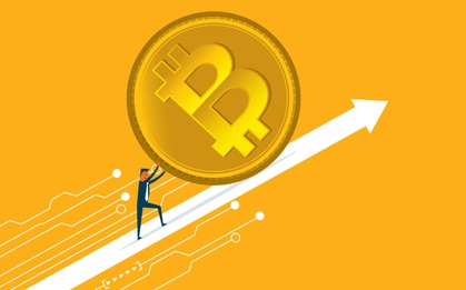 Năm 2020 ngạo nghễ của Bitcoin: Tăng giá 224%, đánh bại mọi hoài nghi