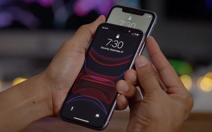 Apple xác nhận iPhone 11 có thể bị lỗi cảm ứng, đây là cách kiểm tra máy của bạn có dính lỗi hay không