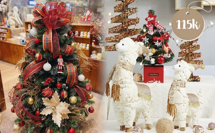 Sắm cây thông giả cho Noel: Hơn trăm nghìn hay tiền triệu đều có, loại nào cũng siêu đẹp
