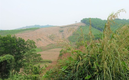 Một người đàn ông bị cắt bay "của quý" trên đồi cao su