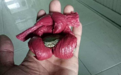 Bác chủ hàng có tài buộc cua kín mít chỉ thấy mỗi mắt khiến dân mạng đồng loạt rủ nhau khỏi mua cua, ra tận biển mà ăn vừa ngon vừa rẻ