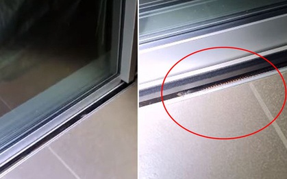 Gia đình suýt mất mạng bởi một chi tiết trong khe hở của cánh cửa, may mắn nhờ mèo cưng phát hiện ra "Tử thần"