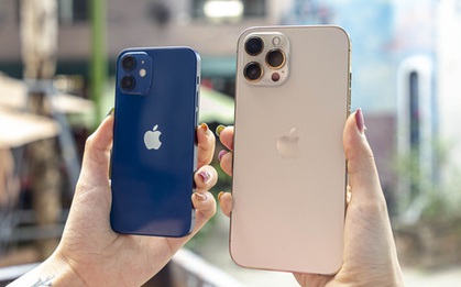 Tất cả các mẫu iPhone 12 đồng loạt giảm giá sâu dịp cuối năm