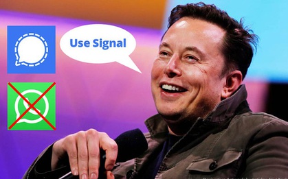 Chỉ bằng một dòng tweet, tỷ phú Elon Musk đã làm nghẽn hệ thống đăng ký của một ứng dụng nhắn tin