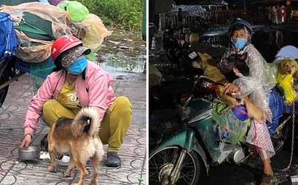 Sau vụ tiêu hủy 15 con chó, Cà Mau đã chuẩn bị lồng dành cho thú nuôi của bà con từ vùng dịch về