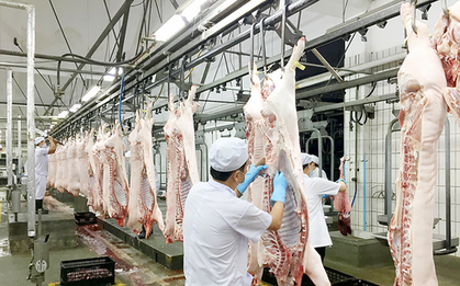 Giá lợn giảm xuống mức kỷ lục, đề xuất siết nhập khẩu thịt ngoại