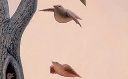 Bạn nhìn thấy thứ gì đầu tiên? Điều đó sẽ tiết lộ bạn thuộc nhóm người nào trong xã hội, điều cần thay đổi ở hiện tại