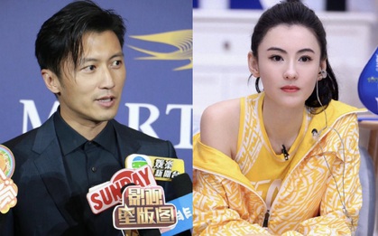 Không còn né tránh, Tạ Đình Phong đứng ra phản hồi về quan hệ thực sự với con trai bí ẩn của Trương Bá Chi
