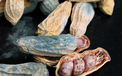 4 chất gây ung thư cực nguy hiểm này đang "trú ẩn" trong ngôi nhà của bạn, hãy loại bỏ sớm trước khi trở thành "con mồi" của chúng