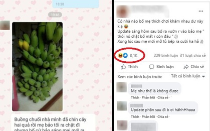 Cô gái khoe màn chơi khăm "lầy lội" của phụ huynh khiến dân mạng cười như nắc nẻ