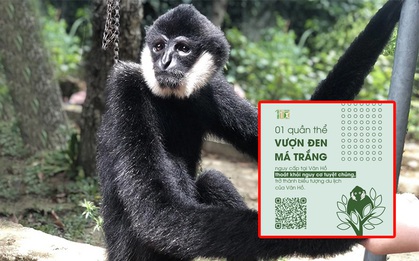 Nóng: Vượt qua Mexico, dự án bảo tồn tự nhiên của Việt Nam về nhất