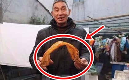 Phơi bong bóng cá rồi bỏ quên 38 năm, ngư dân tròn mắt vì nó biến thành thứ đắt ngang vàng