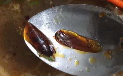 Khách thấy cánh gián nổi lềnh bềnh trong tô bún bò ăn dở, thái độ của chủ quán gây phẫn nộ
