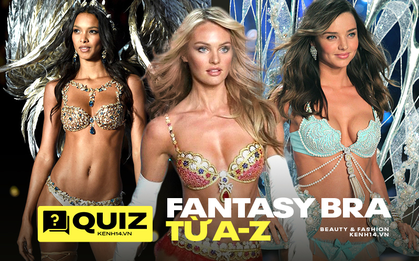 Bạn biết gì về Fantasy Bra - đặc sản không thể thiếu trong mỗi show diễn của Victoria's Secret khi còn chưa bị khai trừ?