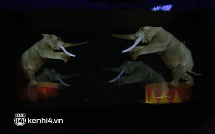 Lần đầu tiên tại Việt Nam: Xiếc thú không dùng thú khiến nhiều người Sài Gòn tò mò, thích thú