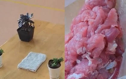 Cô giáo yêu cầu mang sen đá đến trường, cậu bé 3 tuổi đem một thứ khiến ai cũng "dở khóc dở cười" nhưng lại được dân mạng hoan nghênh