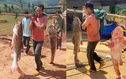 Trắng đêm săn "thủy quái" thu tiền triệu mỗi đêm ở Gia Lai: Bí mật về loài vật đuôi đỏ