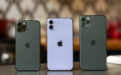 Mẫu iPhone nào được mua nhiều tại Việt Nam?