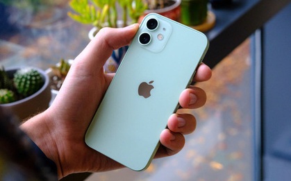 iPhone 12 mini chỉ chiếm vỏn vẹn 5% doanh số