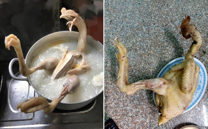 Những "siêu phẩm" gà luộc ngày Tết nhìn vừa tức vừa buồn cười: Con co cánh, con duỗi chân đủ mọi tư thế