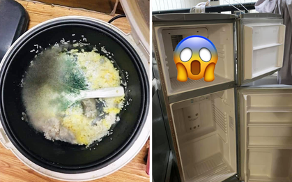 Về quê ăn Tết nhưng quên cất đồ ăn, dân tình té xỉu vì cảnh tượng kinh dị khi quay lại: Rửa dọn 3 ngày chưa hết!