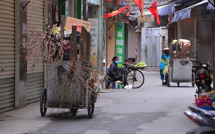 Sau Tết, công nhân vệ sinh môi trường vất vả thu gom đào, quất bị vứt đầy đường