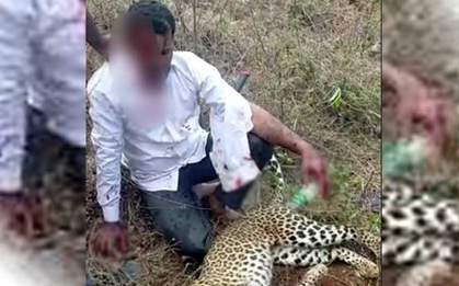 Clip: Người đàn ông dùng tay không giết báo hoang để cứu vợ và con gái