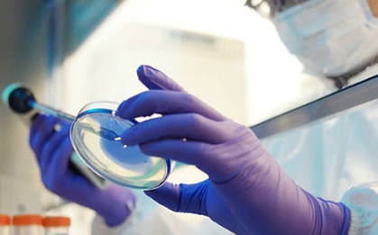 2 biến chủng nguy hiểm của virus SARS-CoV-2 đang có mặt ở Việt Nam có đặc tính gì?