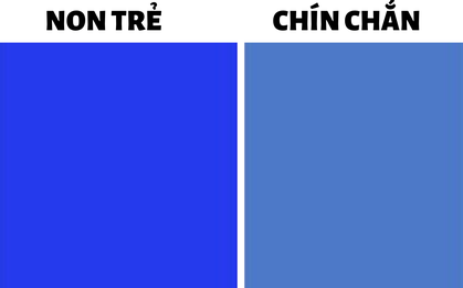 Quiz: Kiểm tra "số tuổi của tâm hồn" để biết mình đã chín chắn, trải đời ra sao qua bài test màu sắc siêu thú vị